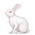 white rabbit  emoji