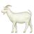 goat with full body  emoji