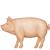 pig with full body emoji
