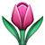pink tulip  emoji