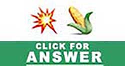 Guess the Emoji answers and cheats level 4