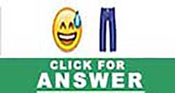 Guess the Emoji answers and cheats level 14